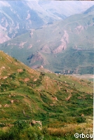 ��������� �������� ����������� ���� 
���� �.�. ������
���-����� �� ������� ���������� ������. ������ ����� ����� ���� �������������� �������, ������������ ��������, �����-����������� � ������-��������.